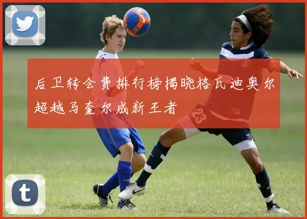 后卫转会费排行榜揭晓格瓦迪奥尔超越马奎尔成新王者